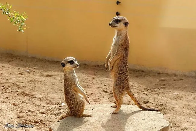 דירה 2 Mit Terrasse Ehlscheid